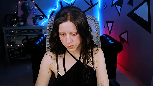 LidaDarknet webcam