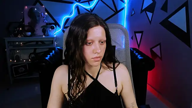 LidaDarknet webcam