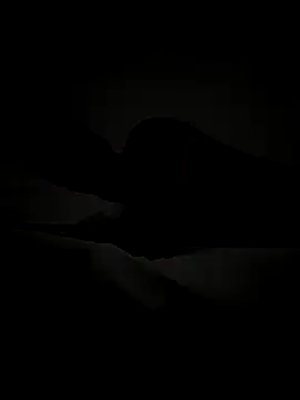 FROCETTO93 webcam