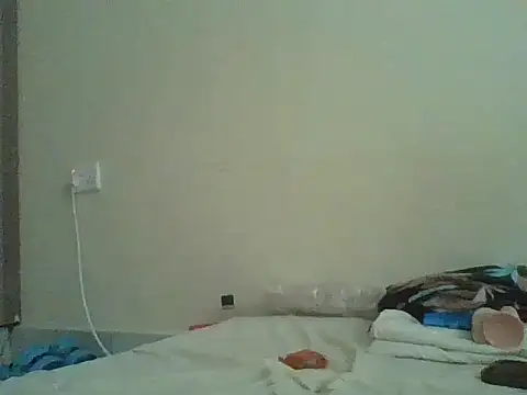 Swt_pie webcam