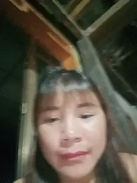 -Nibi- webcam