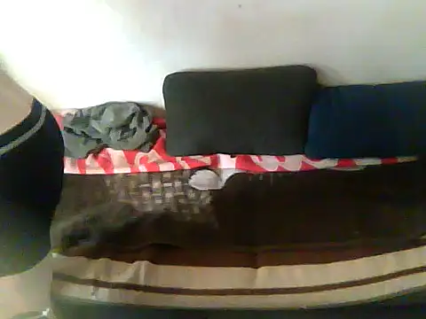 schmidtler35 webcam