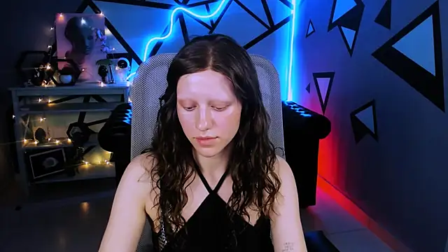 LidaDarknet webcam