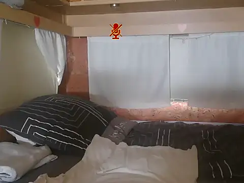 Sylly webcam