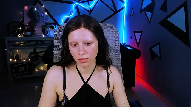 LidaDarknet webcam