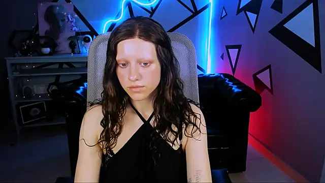 LidaDarknet webcam