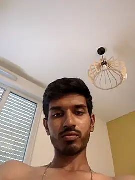 detestelavie webcam