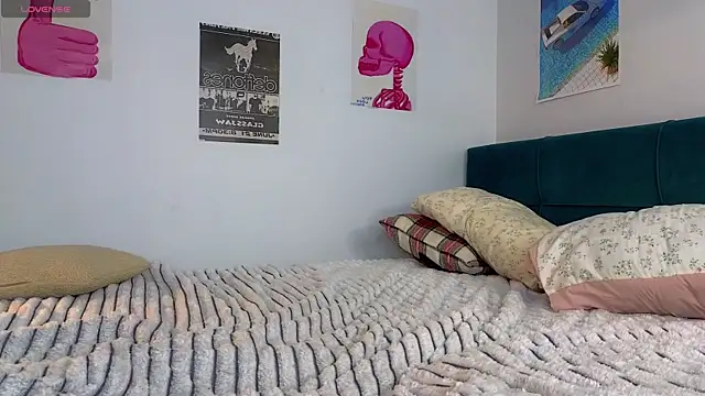 vixinp webcam