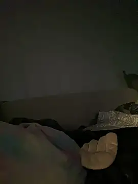 Frosl webcam
