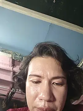 manilafoxts webcam