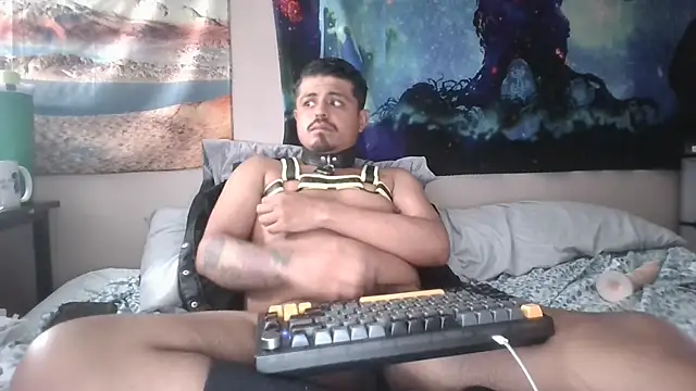 Slutpupdmv webcam