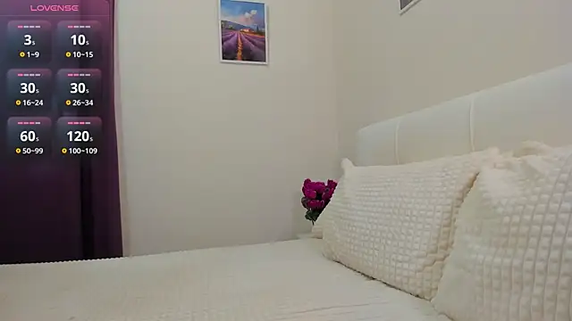_HIME_ webcam