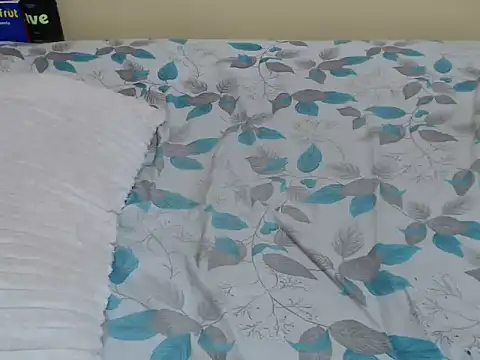 lynnsee webcam