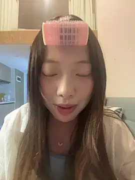YY-1-1-1 webcam