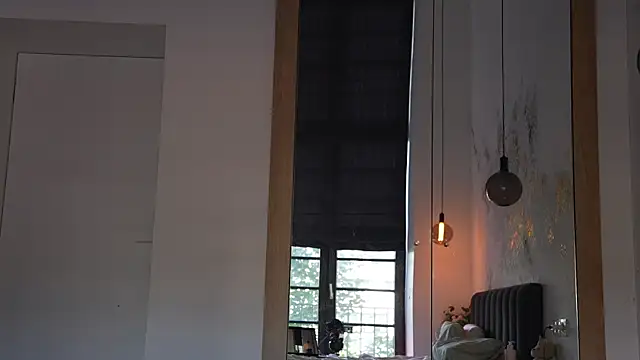 ibiddi webcam