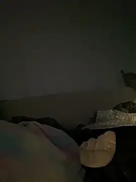 Frosl webcam