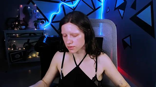 LidaDarknet webcam
