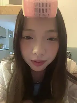 YY-1-1-1 webcam
