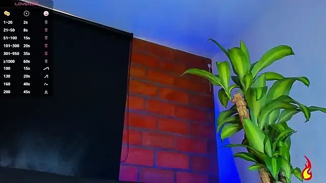 vanegas_luis webcam
