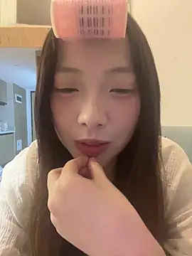 YY-1-1-1 webcam