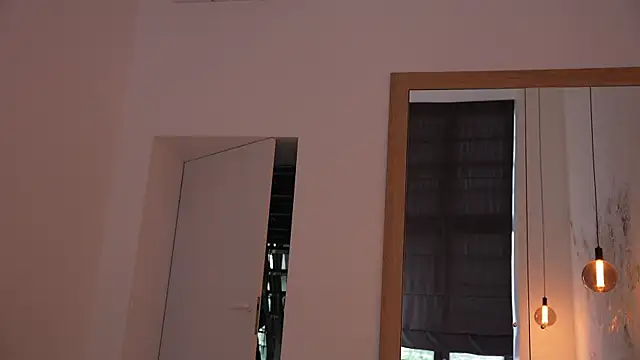 ibiddi webcam