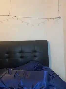 WarmVenus webcam