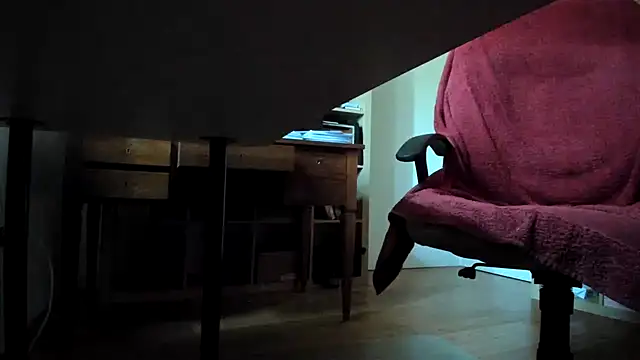 leccaleccafiga webcam