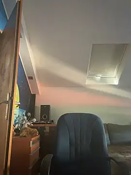 Dejanaceking webcam