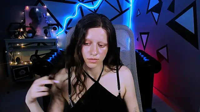 LidaDarknet webcam