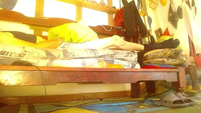 laye19 webcam