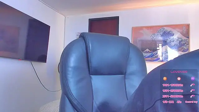 RJBarto webcam