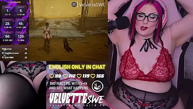 VelvetteSWE webcam