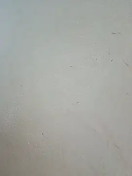 -Bitilu- webcam