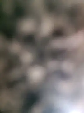 kwiatek32986 webcam