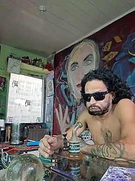 Toycockhot webcam