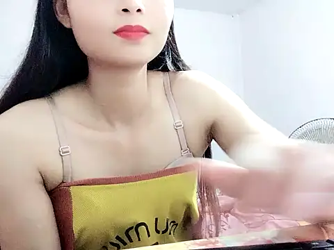 Hean99 webcam