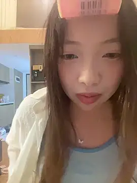 YY-1-1-1 webcam