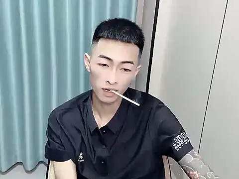zn999 webcam