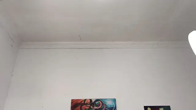 chirlleyy webcam