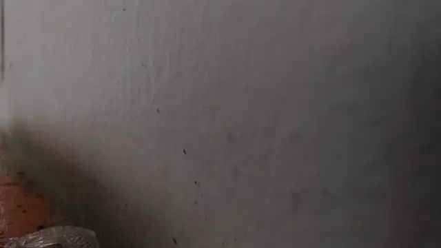 alexam_gal@xh webcam