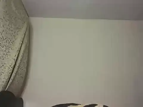 ToddWarren webcam