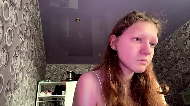 HandyWoo webcam