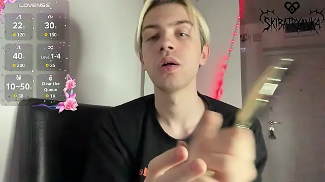 skibatryanka webcam