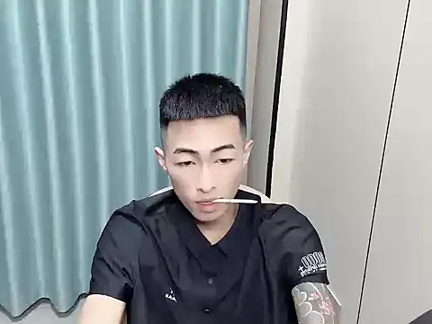 zn999 webcam
