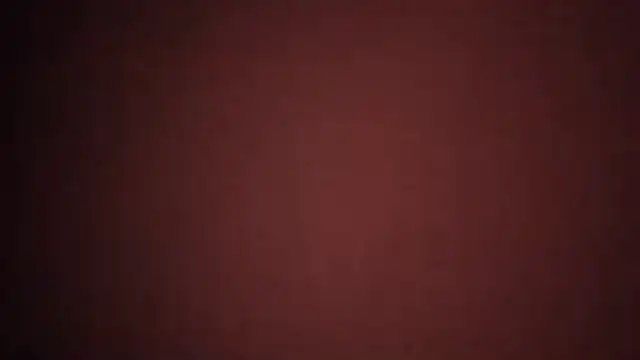 FUNINWV9 webcam