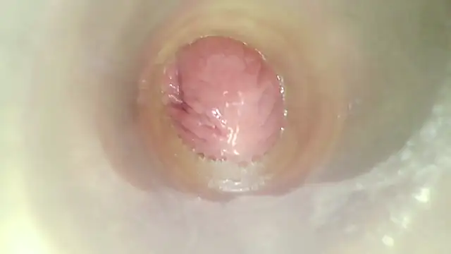 karol_stom webcam