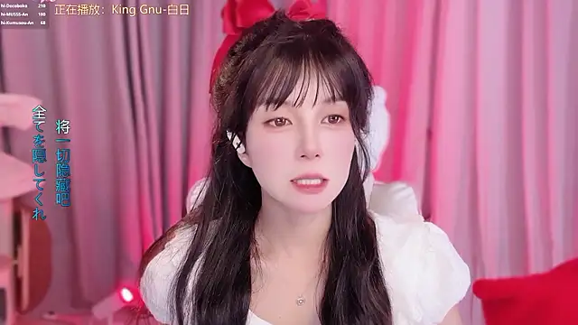 hi-AnAn webcam