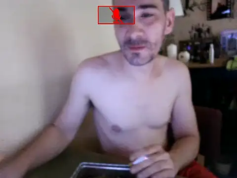 Hgay6935 webcam