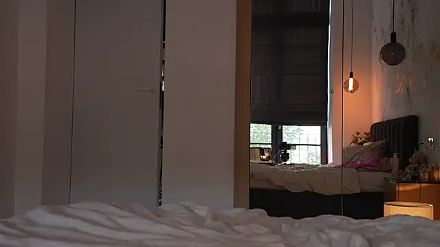 ibiddi webcam