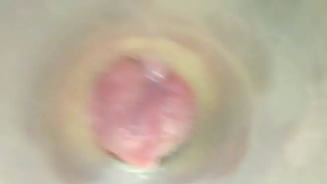 karol_stom